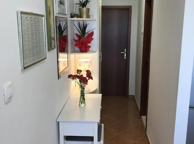 With Wifi - 11660 * 斯普利特