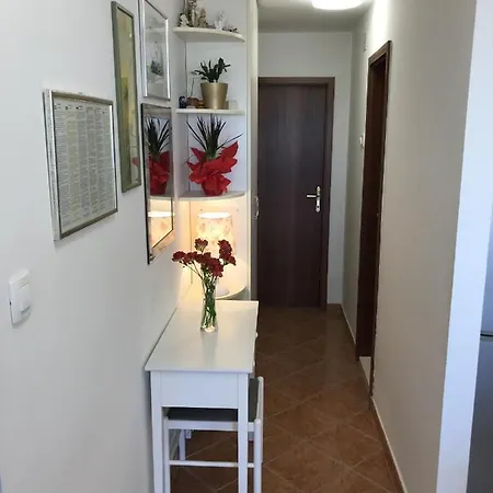 With Wifi - 11660 * Σπλιτ